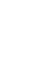 Branded Icon