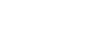 Branded Icon